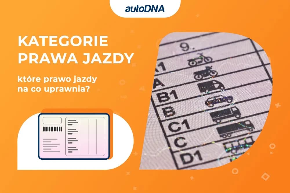Prawo jazdy do 7,5 tony: Unikaj błędów i poznaj prawdziwe wymagania kategorii C1